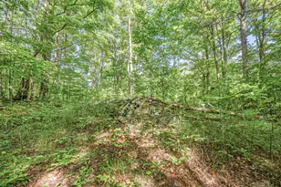 23413 Michigan 115, Tustin, MI 49688 - Photo 36