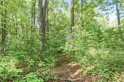 23413 Michigan 115, Tustin, MI 49688 - Photo 38