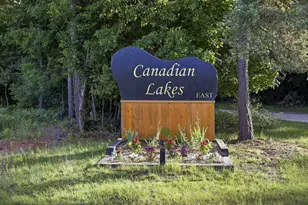 10111 Peppermill Ln, Canadian Lakes, MI 49346 - Photo 32