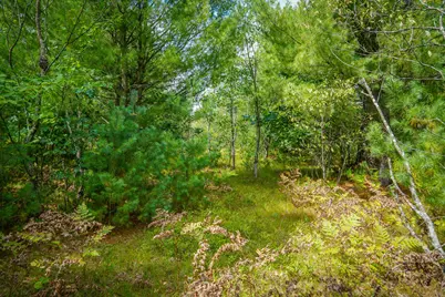 V/L S 142nd Avenue, Rothbury, MI 49452 - Photo 26