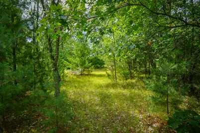 V/L S 142nd Avenue, Rothbury, MI 49452 - Photo 14