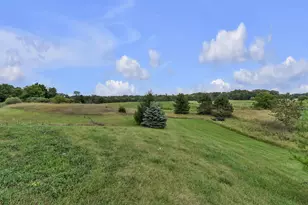 2855 Hayes Rd, Chelsea, MI 48118 - Photo 62