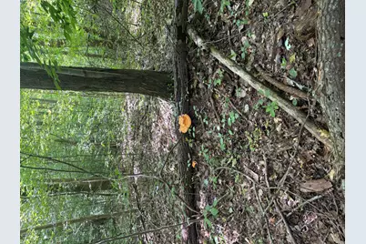 44950 Michigan 140, Covert, MI 49043 - Photo 28