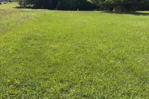 Vl Greenfield Rd, Bronson, MI 49028 - Photo 1