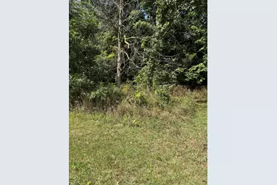 Vl Greenfield Road, Bronson, MI 49028 - Photo 10
