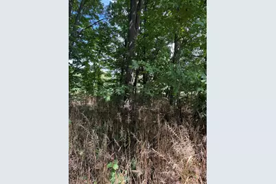 Vl Greenfield Road, Bronson, MI 49028 - Photo 8