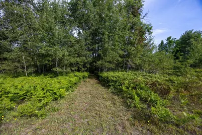 0 S 27 Road S, Cadillac, MI 49601 - Photo 4