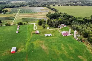 5457 Wood Rd, Rives Junction, MI 49277 - Photo 24