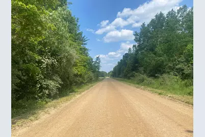 V/L 55th Street, Grand Junction, MI 49056 - Photo 2