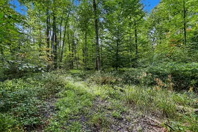 43001 32nd Street, Paw Paw, MI 49079 - Photo 20