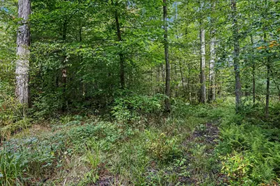 43001 32nd Street, Paw Paw, MI 49079 - Photo 22