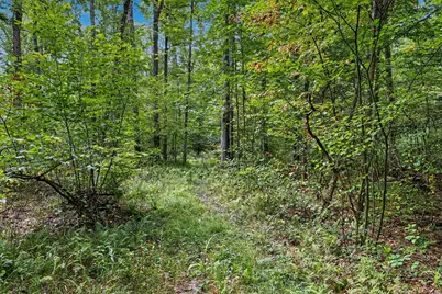 43001 32nd Street, Paw Paw, MI 49079 - Photo 16