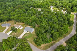 919 Armintrout Rdg Ct, Allegan, MI 49010 - Photo 48