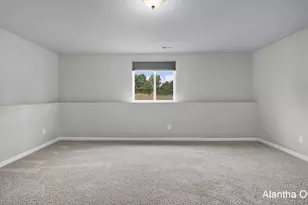 465 Orchard St, Constantine, MI 49042 - Photo 18