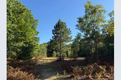 Par 1 & 5 Clements Road, Kaleva, MI 49645 - Photo 32