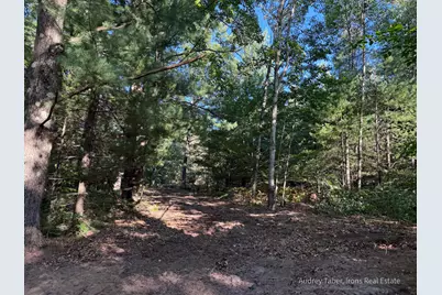 Par 1 & 5 Clements Road, Kaleva, MI 49645 - Photo 4