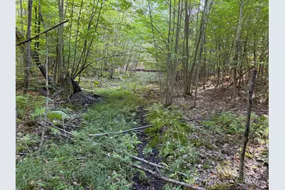 Par 1 & 5 Clements Road, Kaleva, MI 49645 - Photo 48