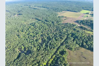 Par 2 Clements Road, Kaleva, MI 49645 - Photo 38
