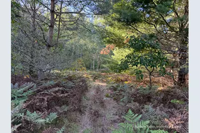 Par 3 Clements Road, Kaleva, MI 49645 - Photo 26