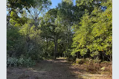 Par 3 Clements Road, Kaleva, MI 49645 - Photo 10