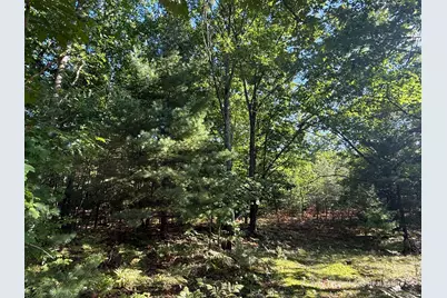 Par 3 Clements Road, Kaleva, MI 49645 - Photo 18
