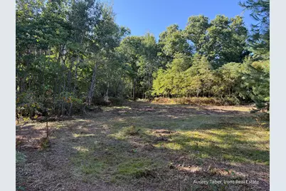 Par 3 Clements Road, Kaleva, MI 49645 - Photo 8