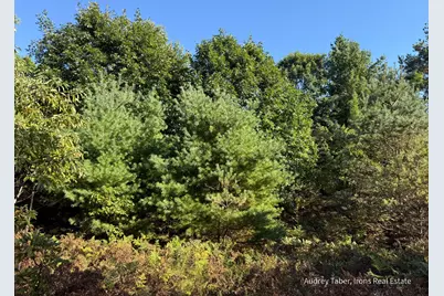 Par 3 Clements Road, Kaleva, MI 49645 - Photo 24
