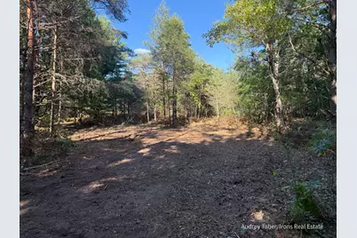 Par 4 Clements Road, Kaleva, MI 49645 - Photo 8