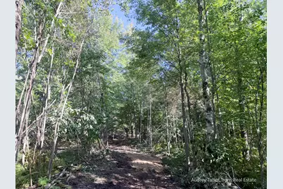 Par 4 Clements Road, Kaleva, MI 49645 - Photo 4