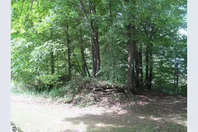 22484 90th Avenue, Marion, MI 49665 - Photo 22