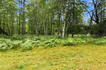 2646 S National City Road, National City, MI 48748 - Photo 132