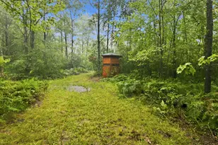 2646 S National City Rd, National City, MI 48748 - Photo 100