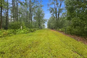 2646 S National City Rd, National City, MI 48748 - Photo 102