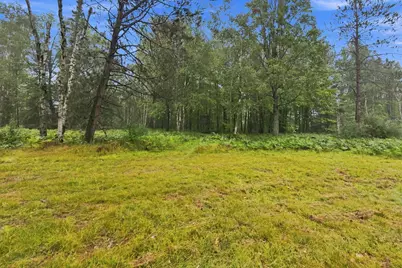 2646 S National City Road, National City, MI 48748 - Photo 106