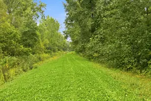 2646 S National City Rd, National City, MI 48748 - Photo 126