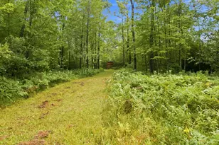 2646 S National City Rd, National City, MI 48748 - Photo 128