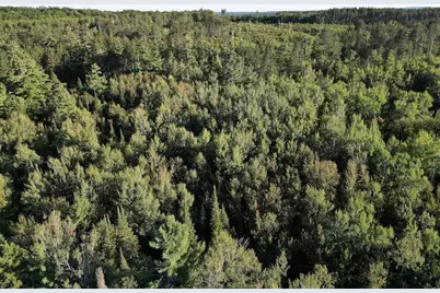 3379 Hehir Trail, Grayling, MI 49738 - Photo 48