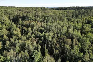 3379 Hehir Trl, Grayling, MI 49738 - Photo 48