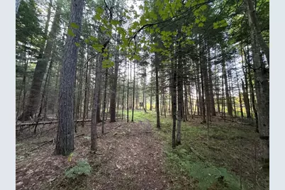 3379 Hehir Trail, Grayling, MI 49738 - Photo 40