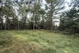 3379 Hehir Trl, Grayling, MI 49738 - Photo 10