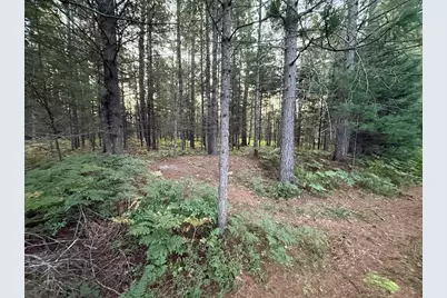 3379 Hehir Trail, Grayling, MI 49738 - Photo 28