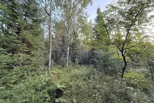 3379 Hehir Trl, Grayling, MI 49738 - Photo 26