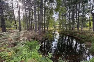 5045 N M30, Gladwin, MI 48624 - Photo 112
