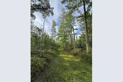 5045 N M30, Gladwin, MI 48624 - Photo 92