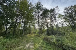 5045 N M30, Gladwin, MI 48624 - Photo 90