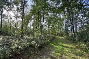 5045 N M30, Gladwin, MI 48624 - Photo 138