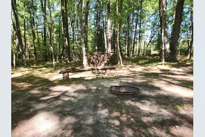1642 N M-37, Baldwin, MI 49304 - Photo 20