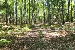 1642 N M-37, Baldwin, MI 49304 - Photo 24