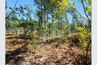 1642 N M-37, Baldwin, MI 49304 - Photo 26