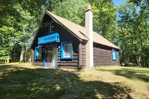 1642 N M-37, Baldwin, MI 49304 - Photo 2